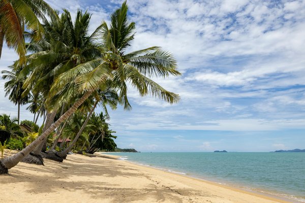 Découvrez votre villa de rêve en balagne