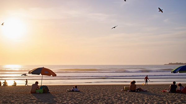 Étoile de mer : vos vacances idéales à wimereux !