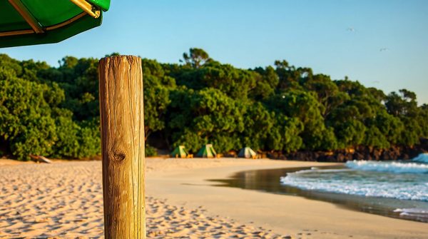 Séjournez au camping fouesnant : vacances en bord de mer !